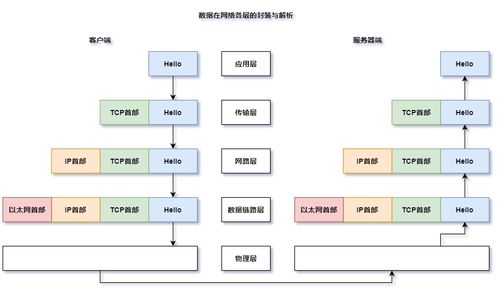 計算機(jī)網(wǎng)絡(luò)體系結(jié)構(gòu) 連接計算機(jī)系統(tǒng)服務(wù)的橋梁